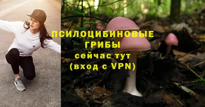 Галлюциногенные грибы MAGIC MUSHROOMS  продажа наркотиков  Верещагино 